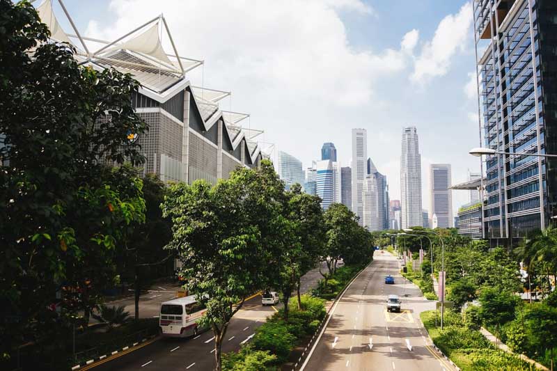 Expertos piden renaturalizar las ciudades con infraestructura verde