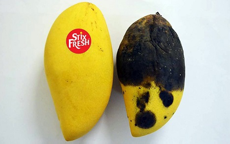 Un adhesivo que prolonga la vida útil de la fruta hasta 14 días