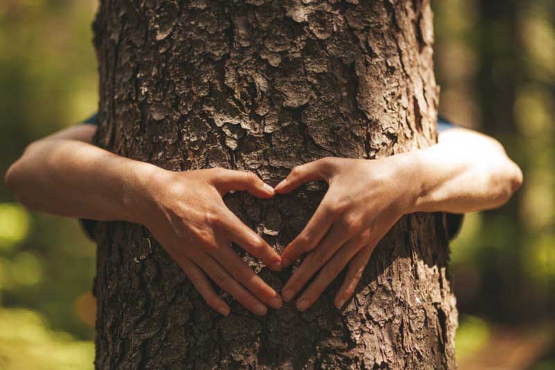 El amor por la naturaleza está en tus genes (al menos en parte)